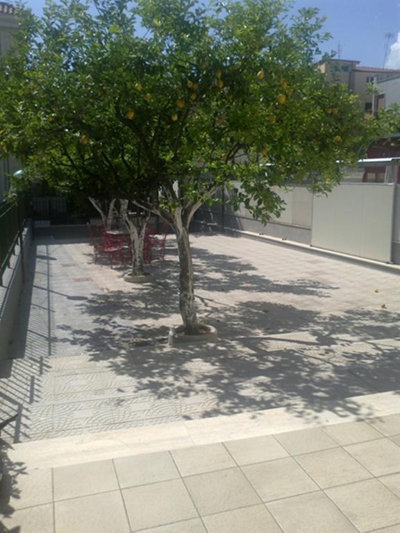 Hotel Aurora Scauri  Εξωτερικό φωτογραφία