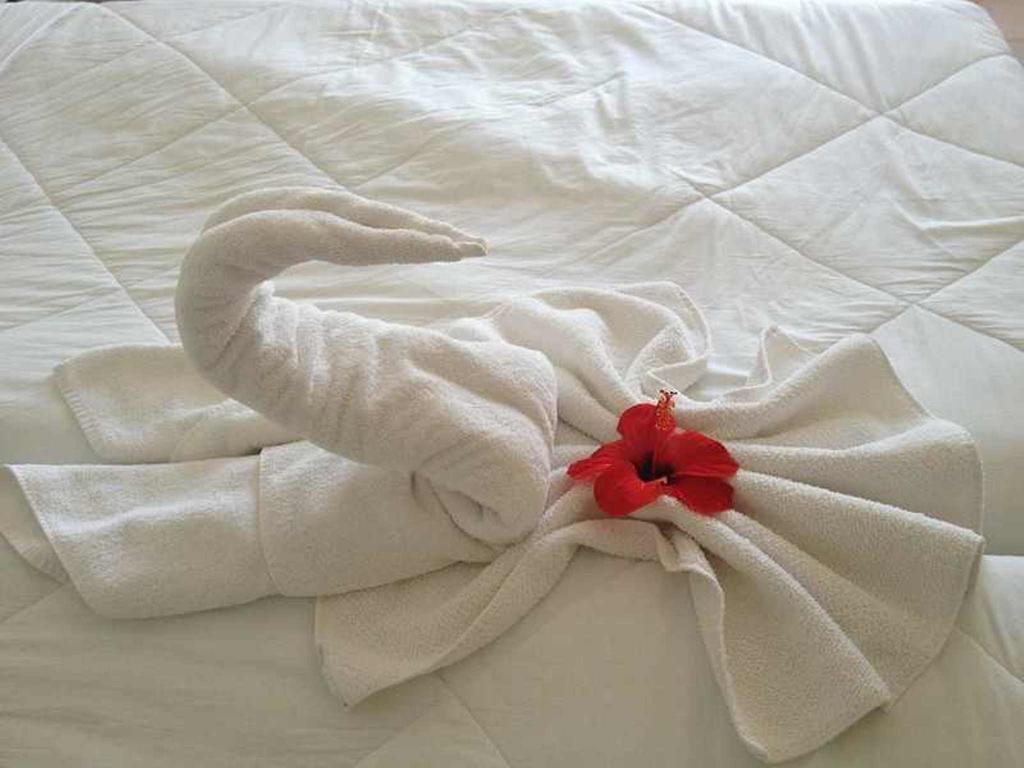 Hotel Aurora Scauri  Εξωτερικό φωτογραφία